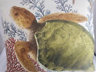 Bild 4 von 6