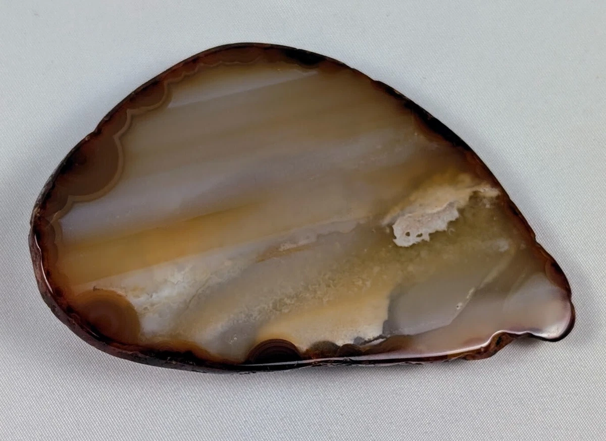 Agate Slice Belt Buckle Brown and Cream Agate Belt Buckles - Etsy main image 2