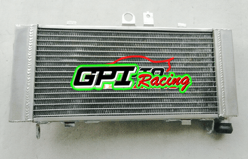 Aluminum Radiator For Honda CB900F Hornet 900 CB919F 919 SC48 2002-2007 03 04 05 - Picture 9 of 10