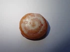 Vintage Barbie Ken Doll Sleeper Set Cinnamon Roll Bun VERY NICE