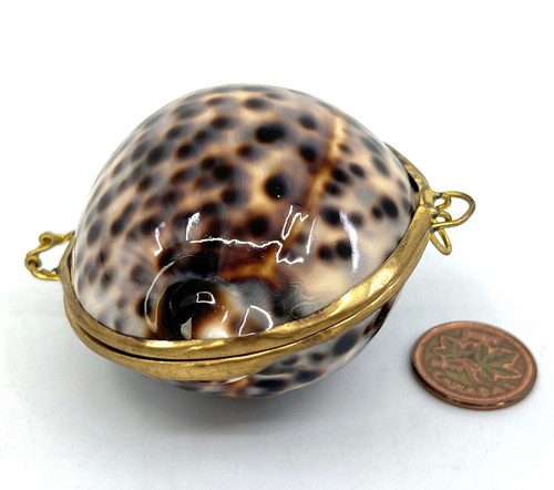 Trinket Pill Box Natural Tiger Cowry Seashell Shell Coin Purse 2in Pagan - Picture 3 of 9