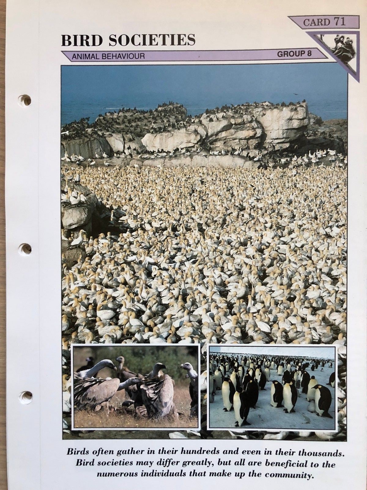 Picture 72 of 94