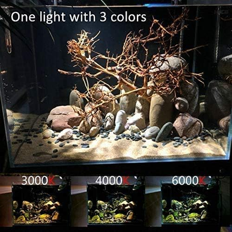 LED Aquarium Light Freshwater Fish Tank Light Vivarium Terrarium