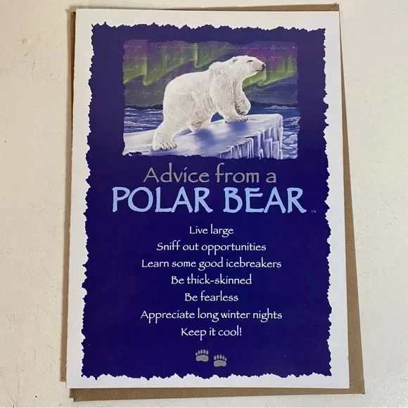 Juego de 4 cartas Consejos de un oso polar, tortuga marina, glaciar, pingüino, 1 de cada una Foto 3 de 4