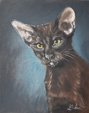 Dipinto ad olio originale gatto orientale ritratto di animale domestico gatto...