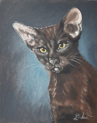 Oriental Cat Original Oil Painting Siamese Cat Pet Portrait 12x9