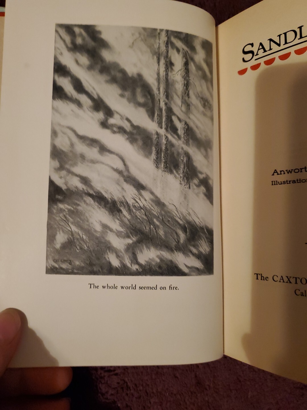 Picture 8 of 20