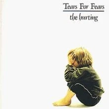 The Hurting von Tears for Fears | CD | Zustand akzeptabel - Bild 1 von 2