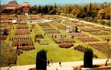 Rose Garden Exposition Park Los Angeles CA 1961 Chrome Postcard Typed Message