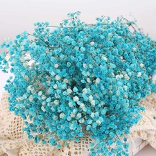 3oz 17 Inch Blue Dried Babys Breath Flowers Bouquet Natural Gypsophila