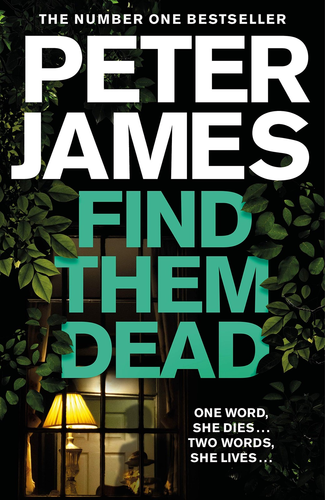 Find Them Dead (Roy Grace)-Peter James