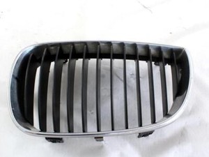 51137077129 Verkleidung Gitter Niere Stoßstange Vorne Seite Links BMW Serie 1