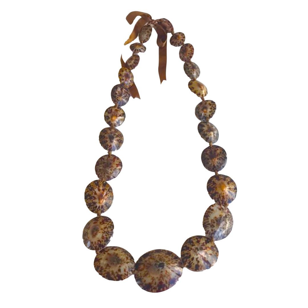 da Hawaiian Store Genuine Opihi Limpet Shell Lei Necklace | eBay
