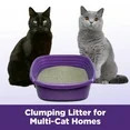 Clump Seal Easy Clean Multi-Cat Litter