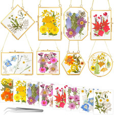 8 Set Glass Pressed Flower Frames Christmas Hanging Photo Picture Frame Gift wit