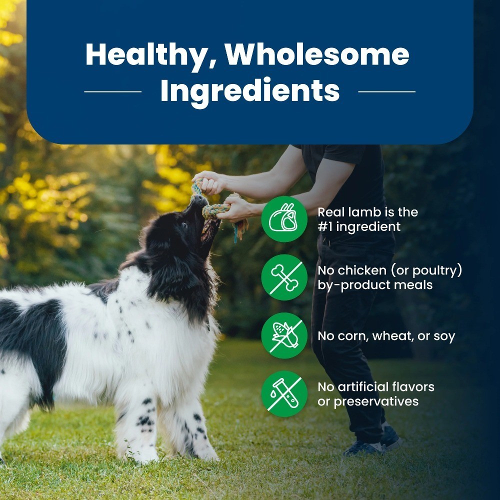Adult Dry Dog Food Lamb & Brown Rice Recipe for Healthy Skin and Coat 5 lbs