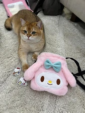 Melody Chalk Bag Rock Climbing (Sanrio)