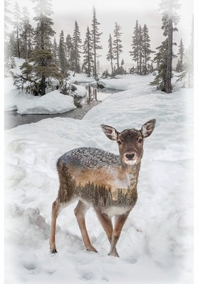 Call of the Wild Baby Fawn Deer Panel by Hoffman Fabrics
