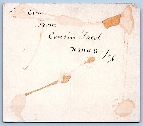 Galleta de Navidad 1886 galleta de agua dieta simple cita por plinio tarjeta inusual - Imagen 2 de 2