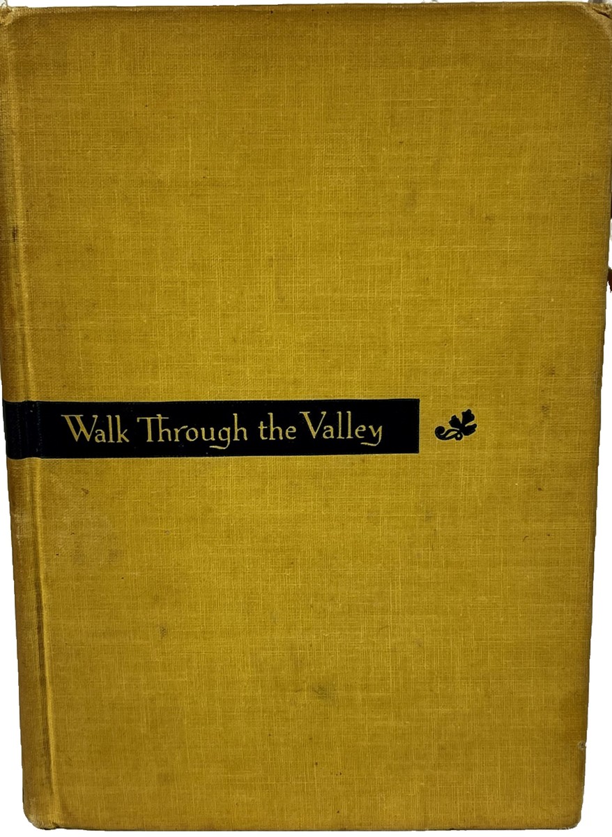 Walk Through the Valley by Zelda Popkin | eBay