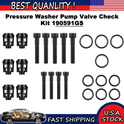 #ad 190591GS Pressure Washer Pump Valve Check Kit for Briggs and Stratton Craftsman $22.50