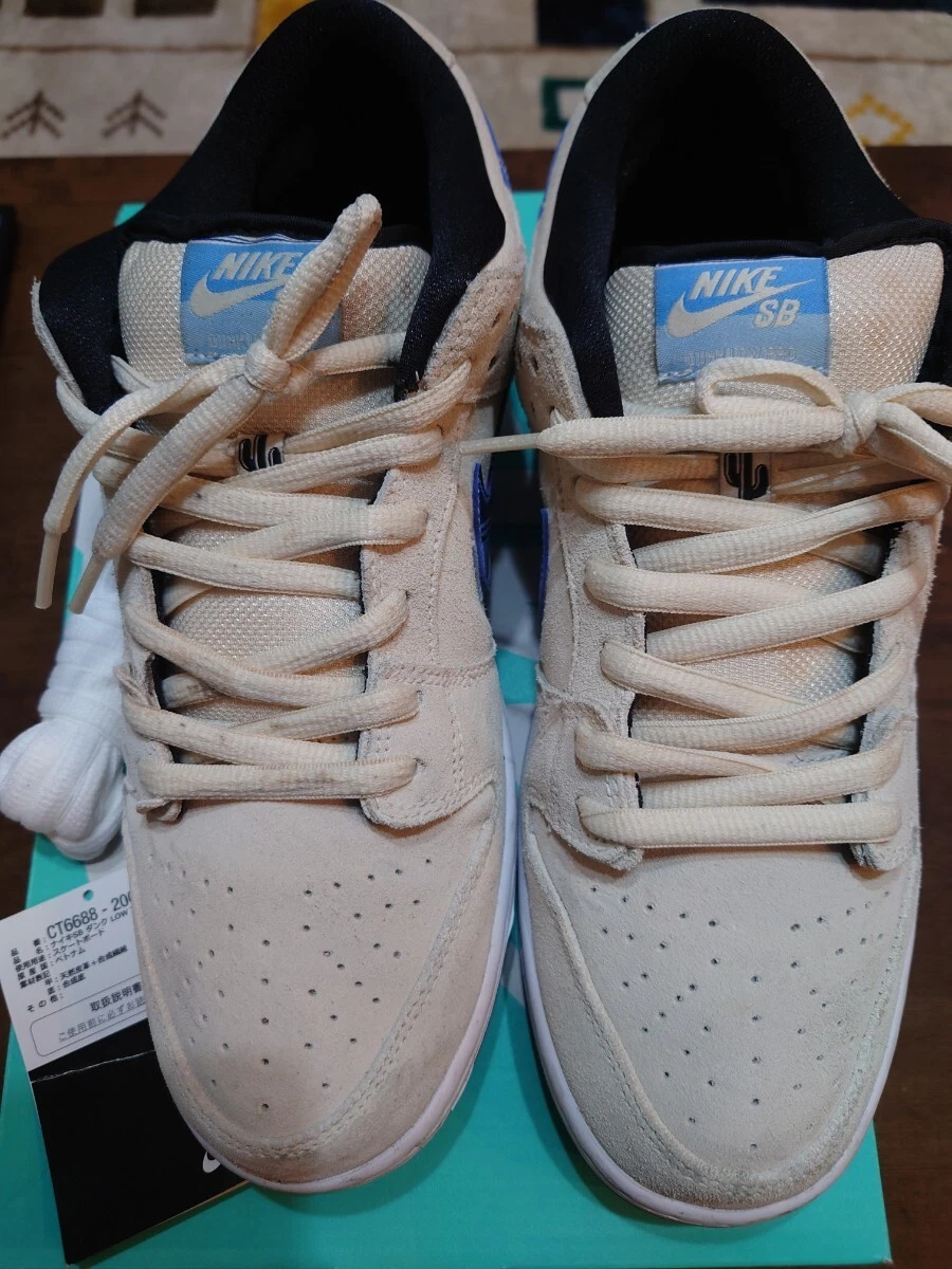 Nike SB Dunk Low Pro