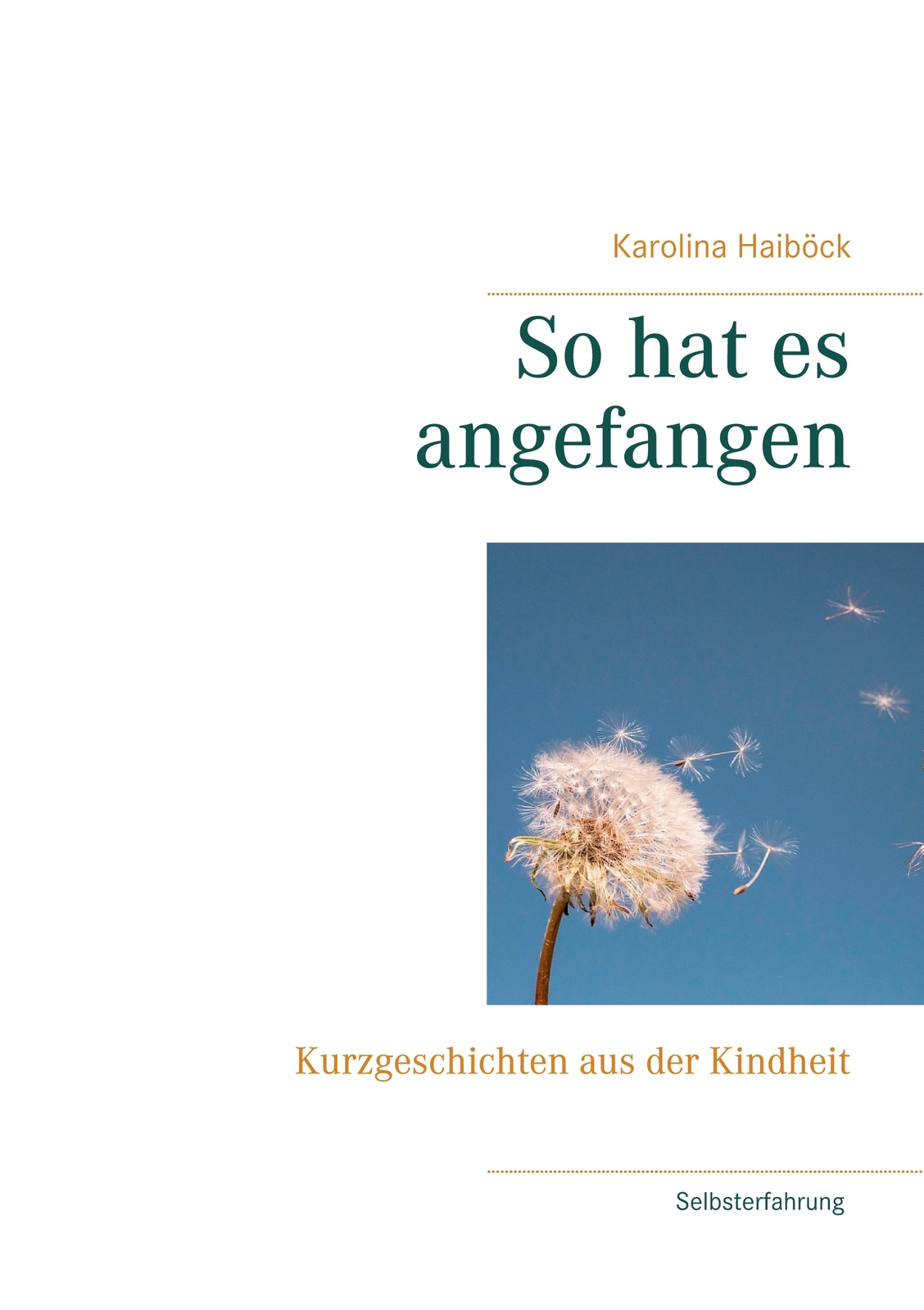 So Hat Es Angefangen (buch)