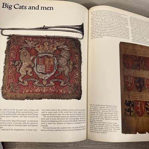 The love of Big Cats - Picture 12 of 14