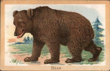 Bears The Brown Bear Tuck 1910 San Francisco, CA Original Vintage Postcard