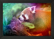 Colored Red Panda Painting Framed Wall Art Poster Canvas Print Picture