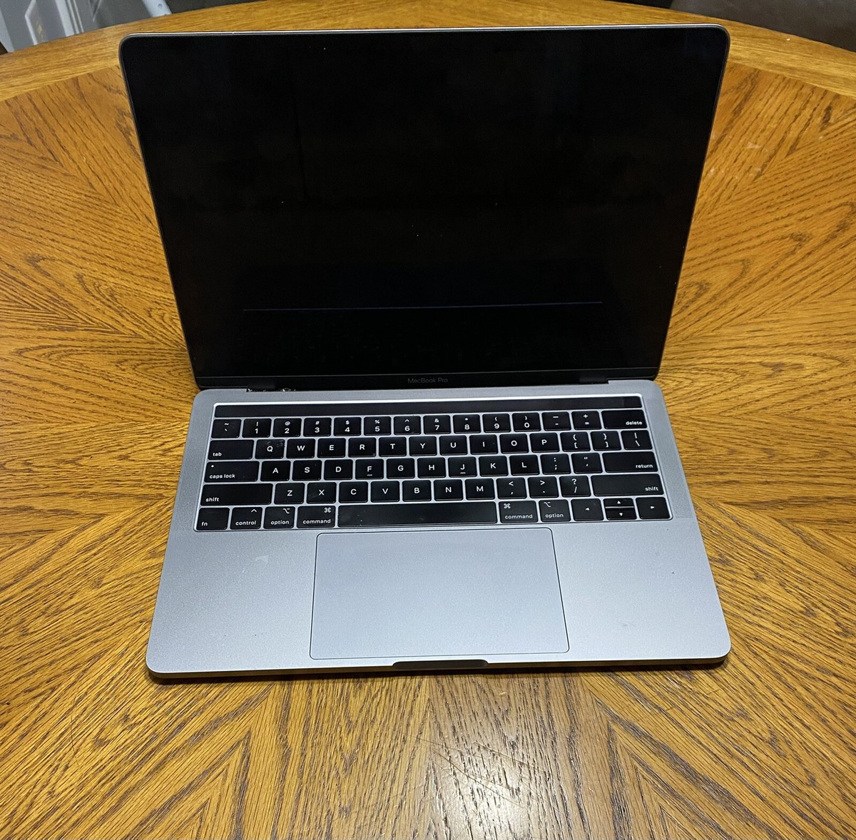 Apple 13