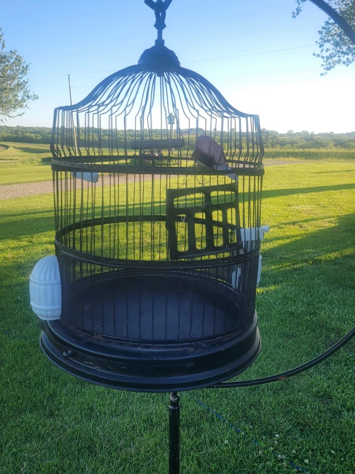 Antigua jaula para pájaros colgante de alambre victoriana HENDRYX con comederos de porcelana y soporte Foto 4 de 4