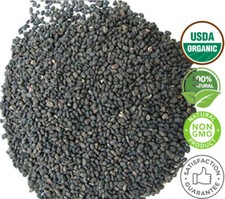 Psoralea Natural Skin lightener Helps Vitiligo Babchi seeds Psoralea corylifoli