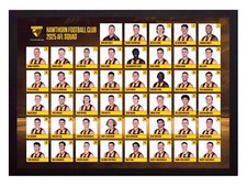 Framed 2025 Hawthorn Hawks AFL Football Poster - 45cm x 32cm x 3cm
