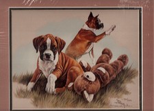 Matted Limited Edition Art Print: Boxer by Joanne Graham LAST ONE!*
