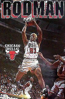 NBA Chicago Bulls Titlewave wall poster Jordan Pippen Rodman 90s 