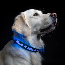 AirTag GPS Dog Collar with LED lights