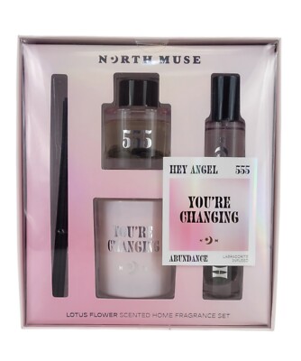 North Muse Hey Angel 555 Labradorite Infused Candle Reed Diffuser Room Spray Set