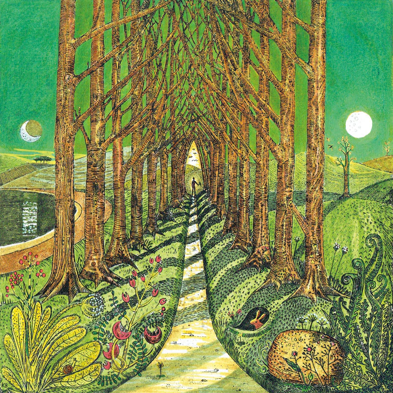 Sunday Neoromantic - Fine Art Blank Greeting / Birthday Card Trees Nature Moon