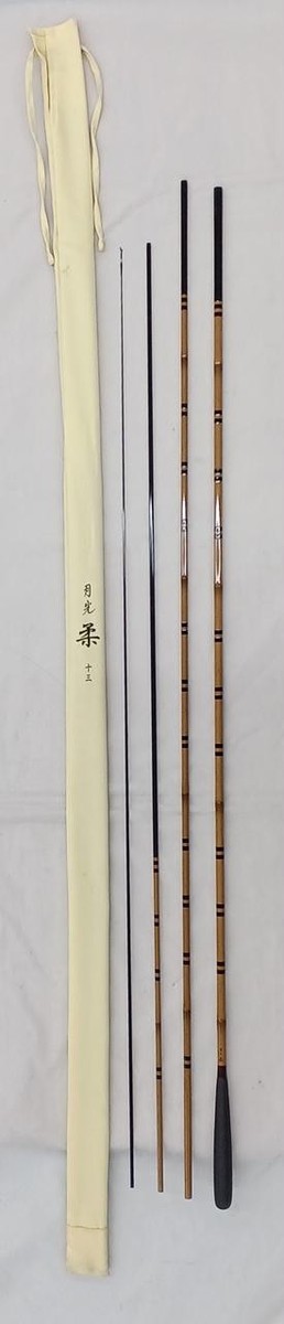 Daiwa Moonlight Soft 13 Shaku Spatula Carp Pole | eBay