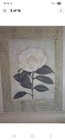 Foto 2 di 7