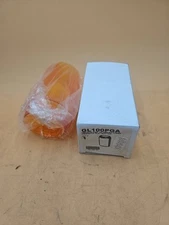 RAB Lighting Vaporproof Beacon Light GL100PGA Globe Amber