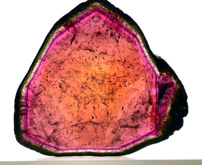 Große Turmalin Scheibe / slice,Querschnitt Tourmaline Madagaskar
