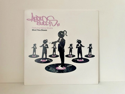 Audio Bullys & Nancy Sinatra - Shot You Down 12'' Electro Tech House Vinyl