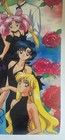 Sailor Moon Vintage 90's Anime Poster Prints, 21" x 15" Roll Up Black Outfits — photo 5