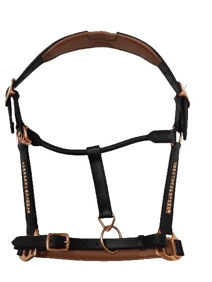 Caballo de cuero marrón headcollars