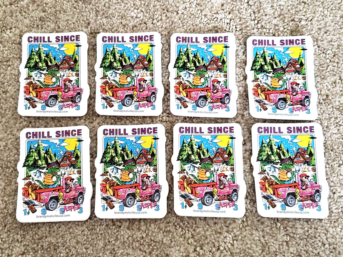 8 Brandy Melville Stickers Chill Since 1993 Aspen Vinyl Decal Skateboard  Sticker | eBay