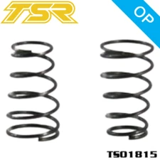 Team Saxo TS01815 Roll Spring RC F1 Touring Car Racing Part