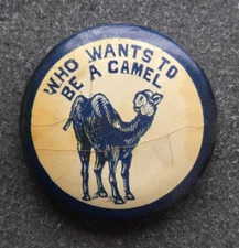 Who Wants to Be a Camel 1920s Cosmo Mfg. 1.25” Celluloid Pin Button Humor