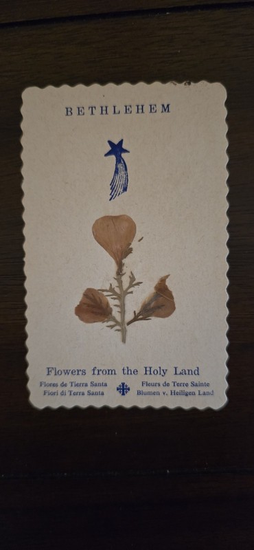 Religious Bethlehem relic Holy card flowers from the Holy Land